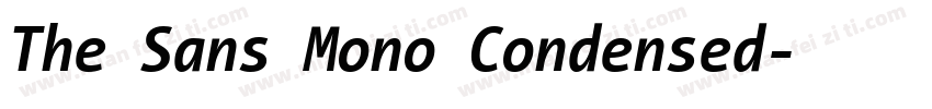 The Sans Mono Condensed字体转换